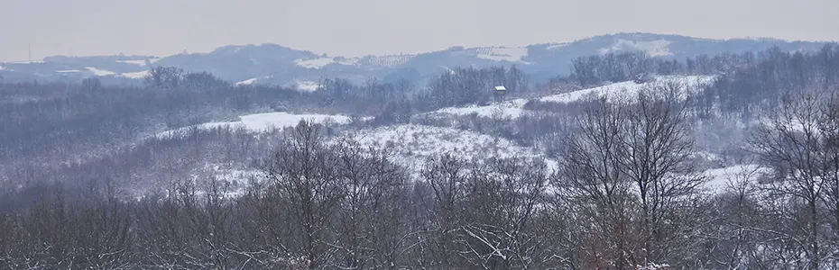 Priroda okovana snegom