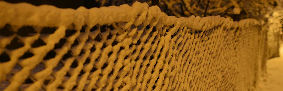 Drvo zatrpano sa snegom