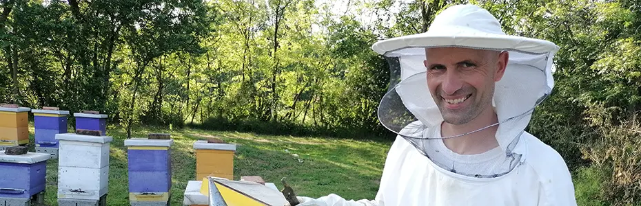 Na pčelinjaku