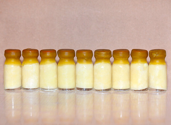 Bočice matičnog mleča od 10 grama - čuvanje i transport u ledu 