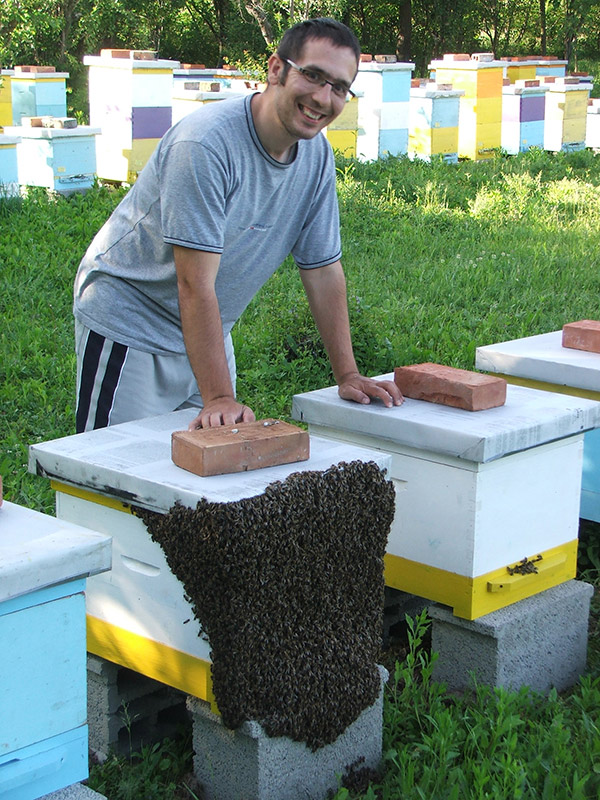 Ivan pored košnice na koju se roj pčela uhvatio za prednju stranu 