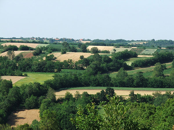 Šumadijska brda