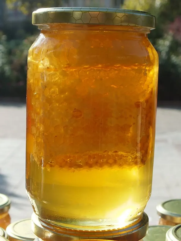 Saće u medu - komad ekstra devičanskog saća u Bagremovom medu