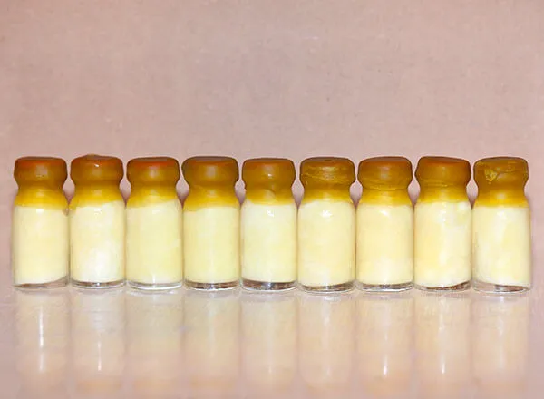 Bočice matičnog mleča od 10 grama - čuvanje i transport u ledu 