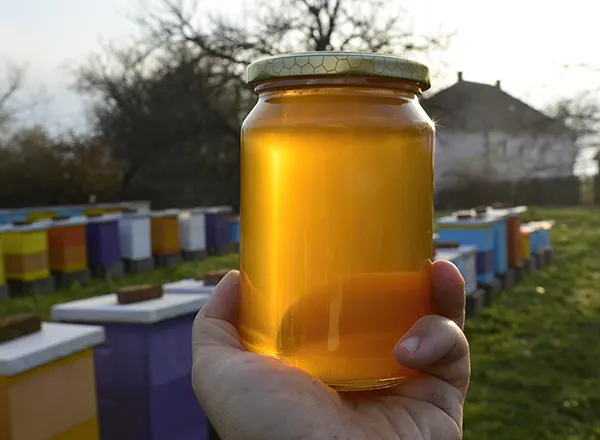 Tegla bagremovog meda