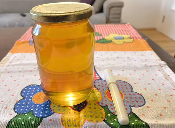 Kad nastupi grip i prehlada tu je med 