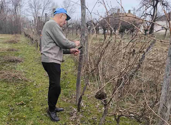 orezivanje