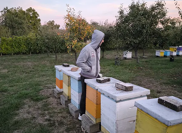 Pčelinjak u oktobru