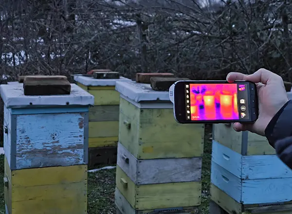  utvrdjivanje stanja košnice pomoću termalne kamere