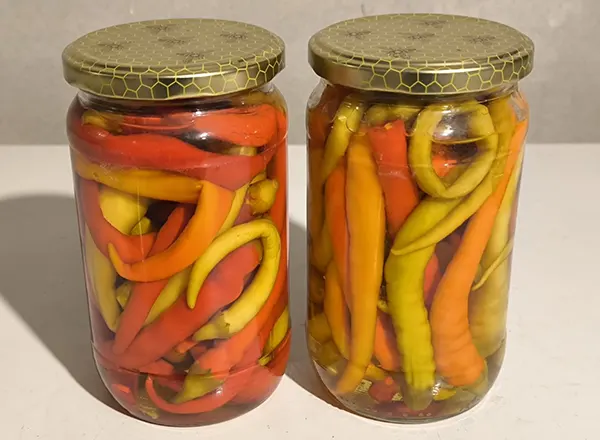 Seoska hrana kao lek