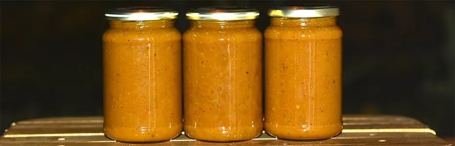 imuno 3 plus 3 teglice