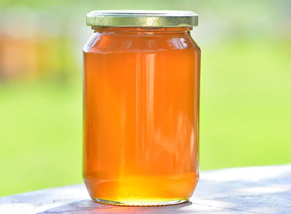  Azotne materije u medu 
