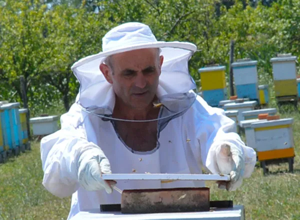 Skupljač pčelinjeg otrova - Završetak njegovog rada