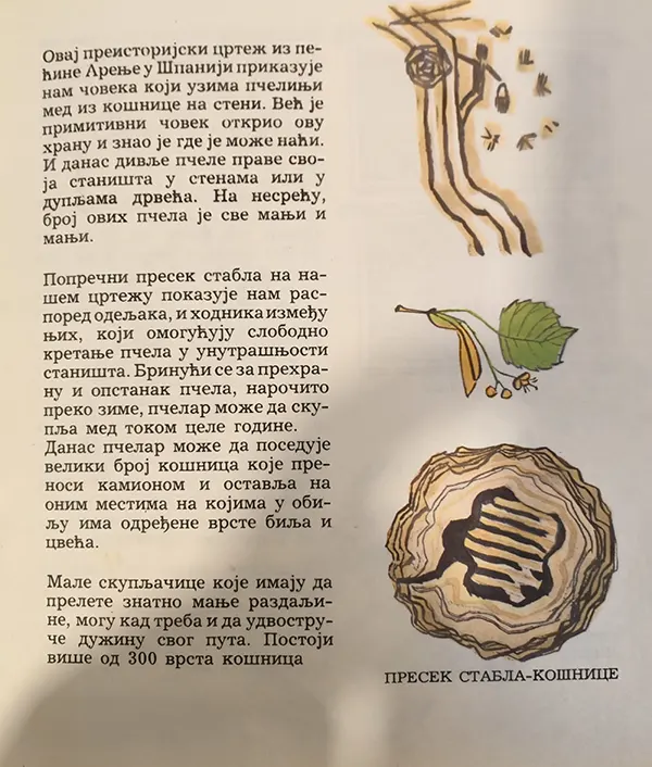 Slikovnica 1