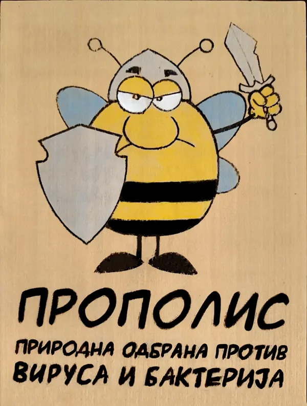 Propolis prirodni antibiotik i antivirotik